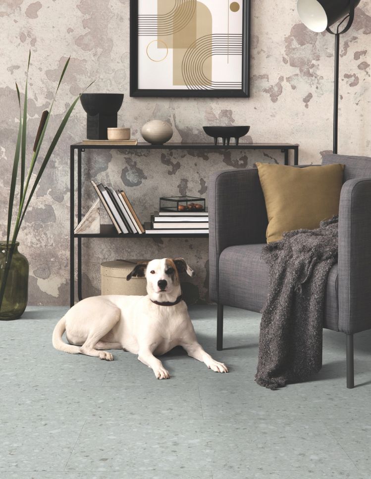 pet friendly flooring in a living room with a dog laying down