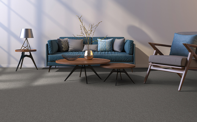 dark colored carpet in living room area