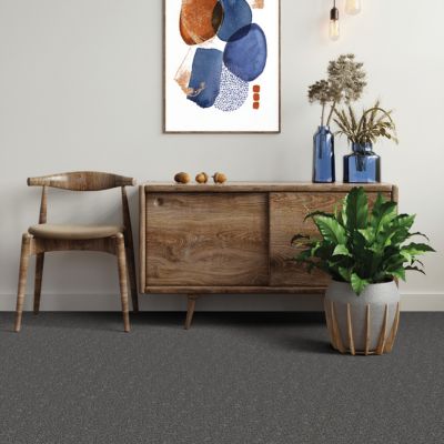 pet friendly carpet in an entryway