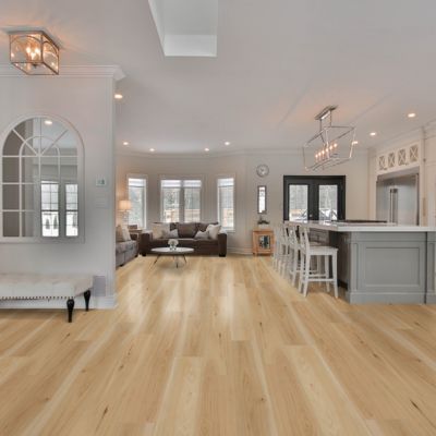 wood flooring in a bright Saint Paul kitchen area 