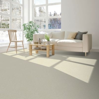 carpet in an Alberta living room