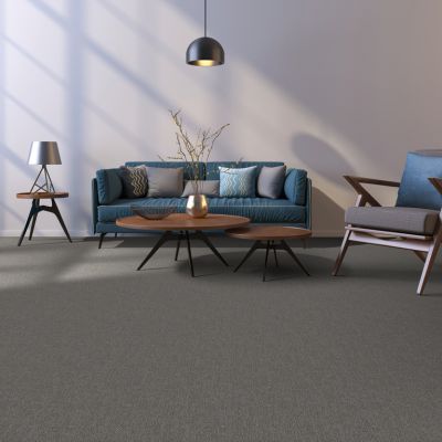carpet in a Saint Paul living room